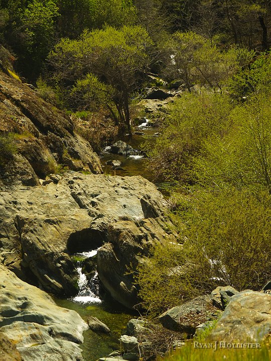 _4047804.JPG - Bear Creek.