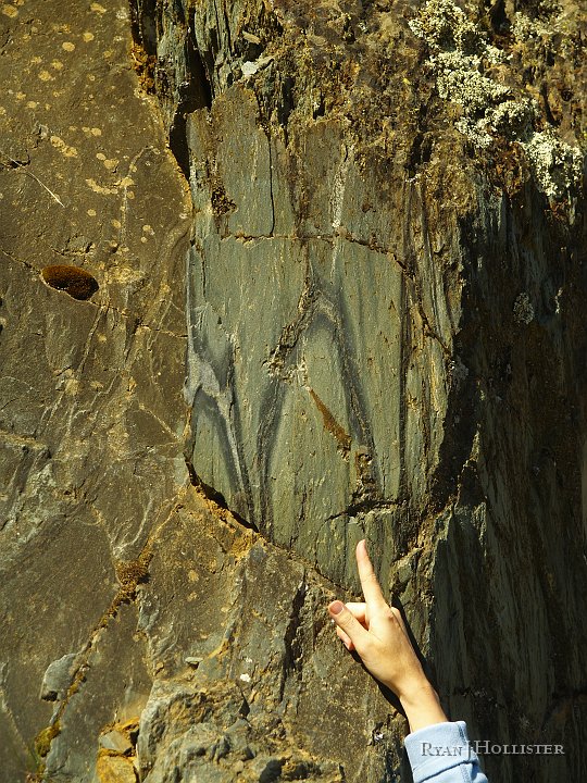 _4047809.JPG - Oh yeah! Highly metamorphosed pillow basalts that were formed on the ocean floor about 200 million years ago.