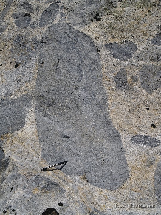 _4047832.JPG - Close-up od pencil & xenolith.