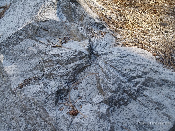 _4047875.JPG - This rock looked suspiciously gray...