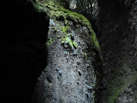  RJH9120 : Pinnacles National Park