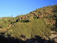  RJH9166 : Pinnacles National Park