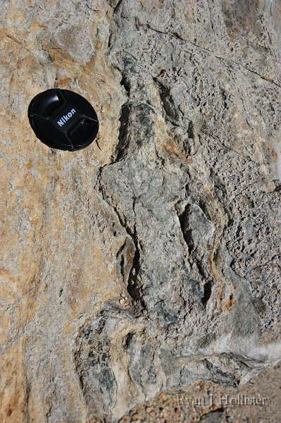 RJH_5919.JPG - A close-up of some of the quartzite found near the pull-out.
