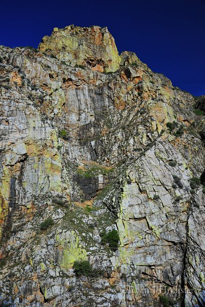 RJH_5921.JPG