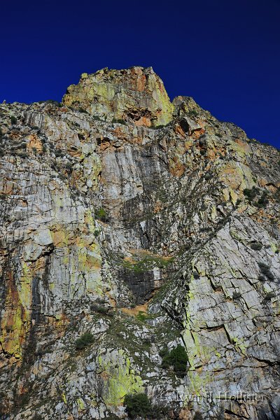 RJH_5923.JPG - The lichens make the rocks come to life in technicolor.