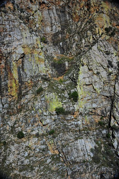 RJH_5924.JPG