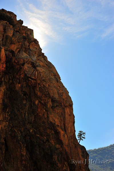 RJH_5931.JPG