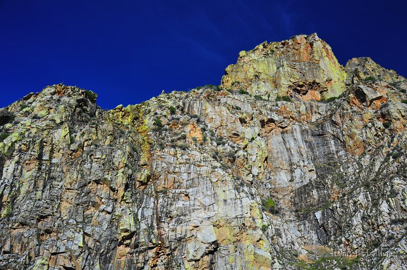RJH_5936.JPG