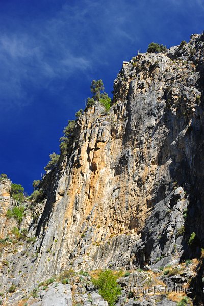 RJH_5940.JPG
