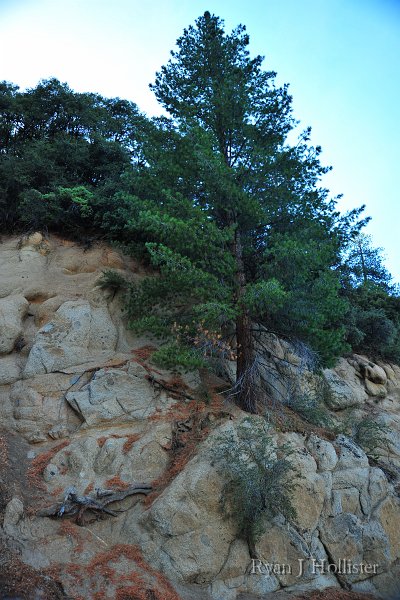 RJH_5985.JPG - Bio-mechanical weathering.