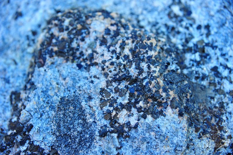 RJH_5992.JPG - Biotite books.