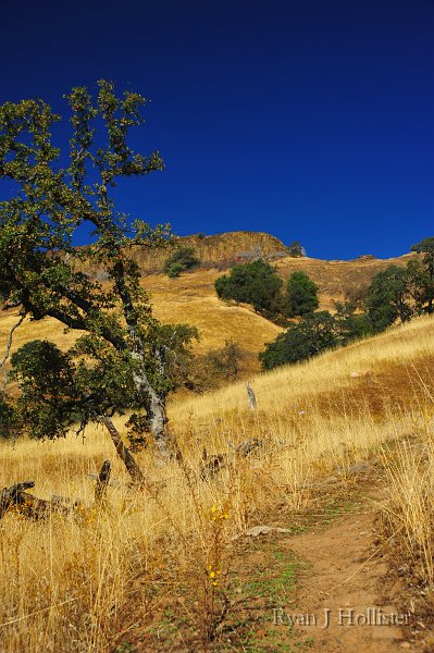 RJH_6013.JPG