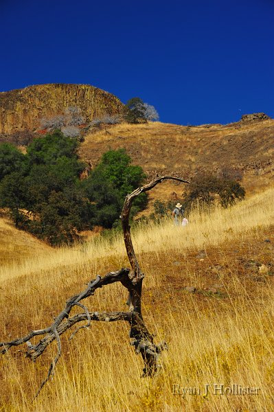 RJH_6018.JPG
