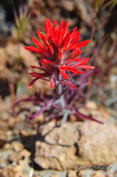 RJH_2080.JPG