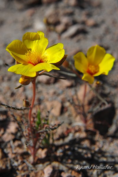 RJH_2082.JPG