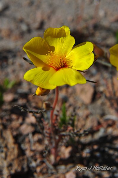 RJH_2083.JPG