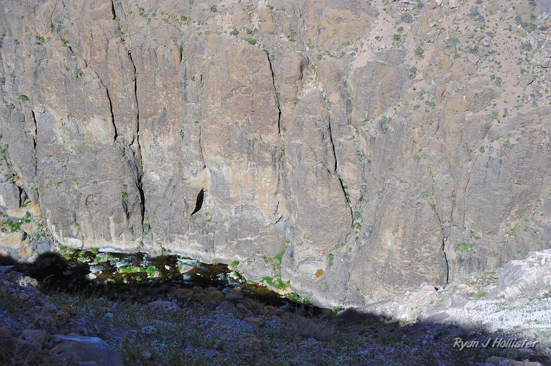 RJH_2089.JPG
