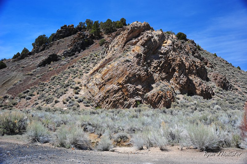 RJH_2118.JPG