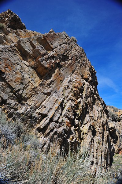 RJH_2119.JPG
