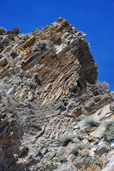 RJH_2126.JPG