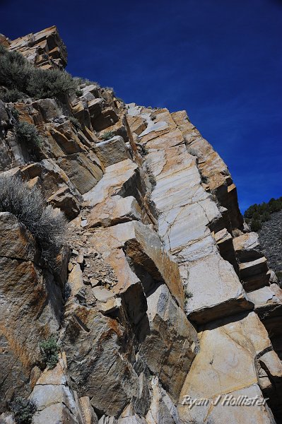 RJH_2129.JPG