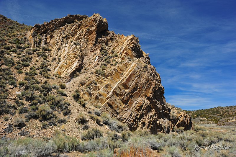 RJH_2131.JPG