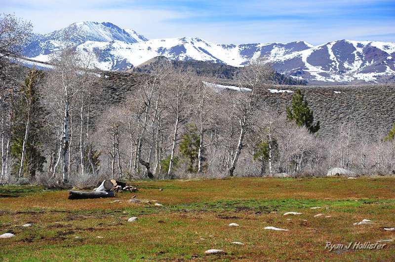 RJH_2134.JPG
