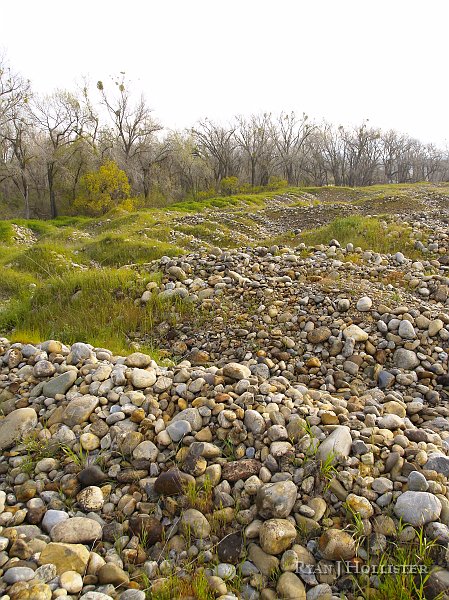 _3147043.JPG - Large dredgers used the high water table next to the Merced River to literally sail across the land while moving their pond with them.  These tailings were produced in the 1940's-50's