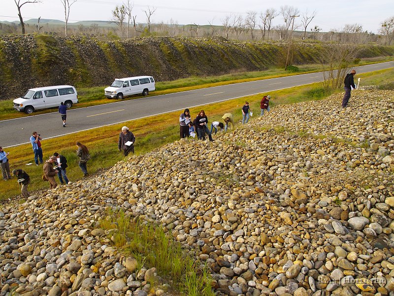 _3147044.JPG - What can a river gravel tell a geologist?  The MJC students try to piece together a story by finding various rock types.
