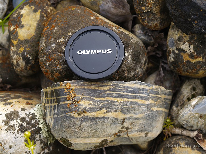 _3147051.JPG - Here's a sample of some metamorphosed mudstone.   Camera cap is about 65mm across.  I didn't see it at the time, but there is a micro-fault in this piece.  You can see the offset bands of white.