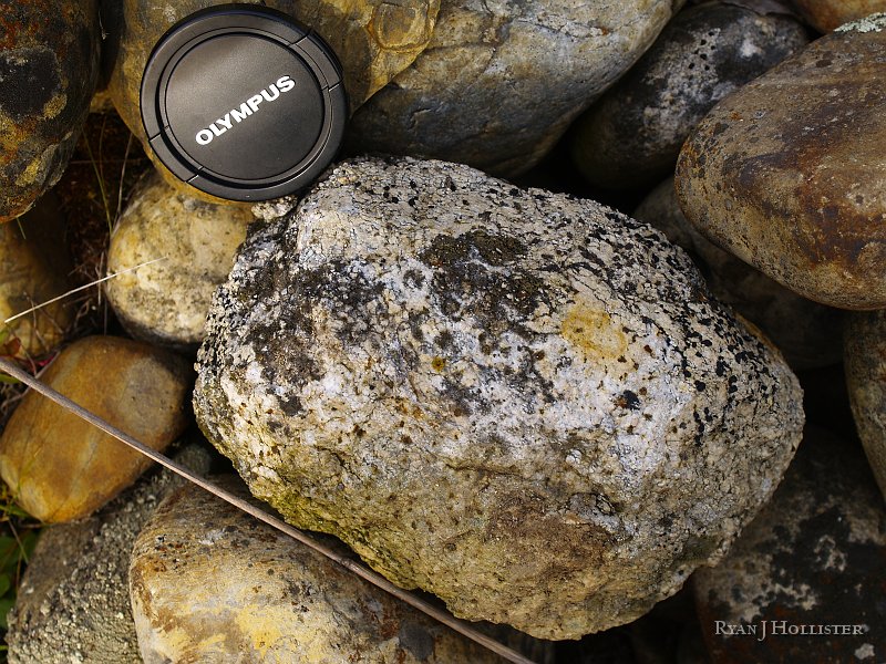 _3147052.JPG - Here's some granite (note it's highly weathered appearance... the feldspars are turning into clay!).