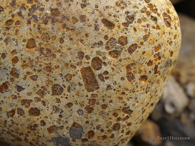 _3147060.JPG - Close up of the porphyritic volcanic rock that has been slightly altered.