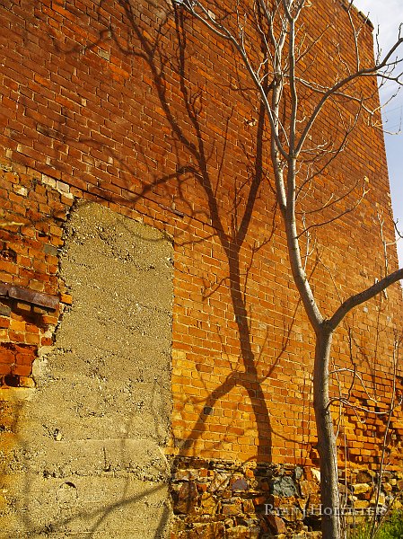 _3147067.JPG - A shadow is cast on Ghirardelli's general store.  He mined the pockets of the miners before he became a world-renowned choclatier.