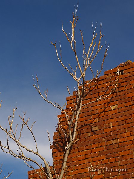 _3147071.JPG - I like shadows & blue skies.