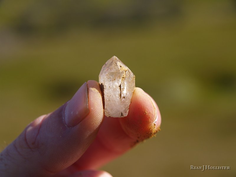 _3147076.JPG - Found one!