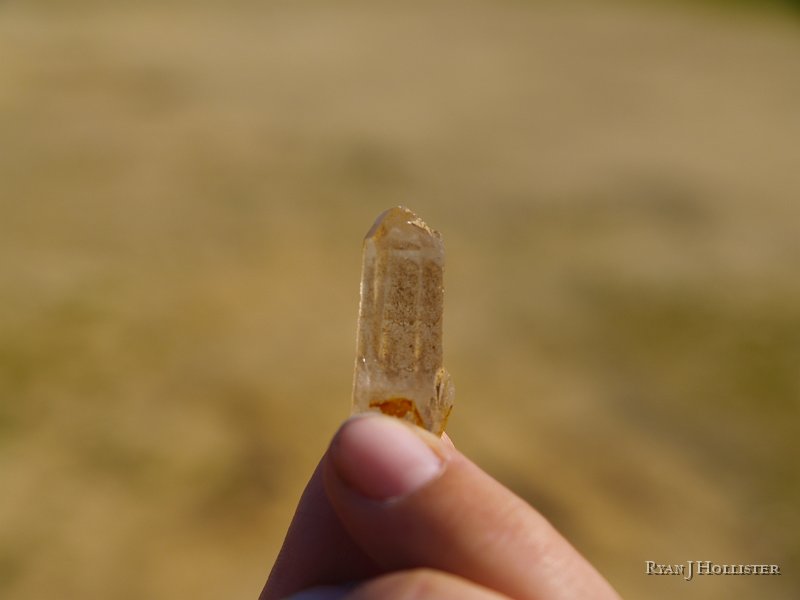 _3147079.JPG - A student found this nice specimen.  It was about 1.75 inches long.