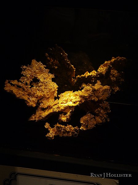 _3147108.JPG - This is the star of the mineral museum:  The Fricot Nugget!  Talk about some bling. 201 troy ounces of  "Eureka!"
