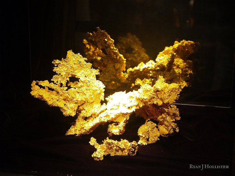 _3147110.JPG - OLYMPUS DIGITAL CAMERA