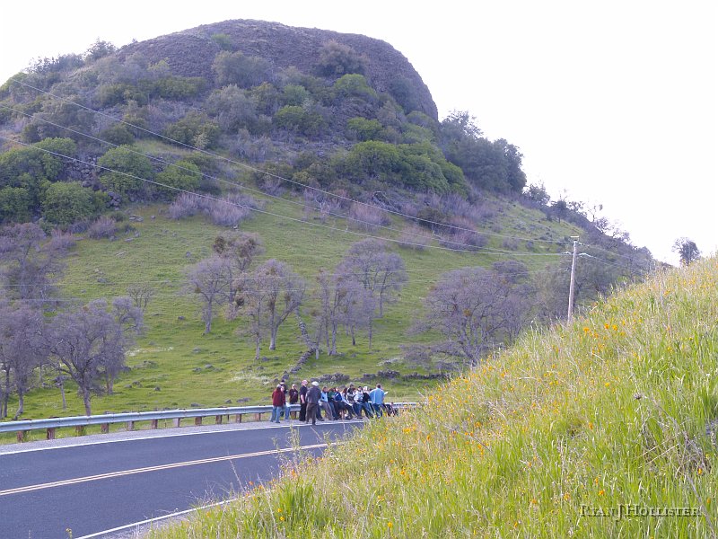 _3147172.JPG - Here's another view of the mountain without all those pesky flowers in the way.