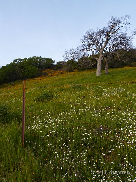 _3147175.JPG - OLYMPUS DIGITAL CAMERA