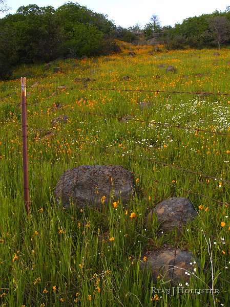 _3147184.JPG - OLYMPUS DIGITAL CAMERA