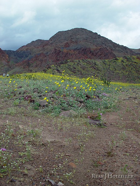 144.jpg - Can you make out the contacts between the Crystal Springs, Beck Springs and Kington Peak formations?