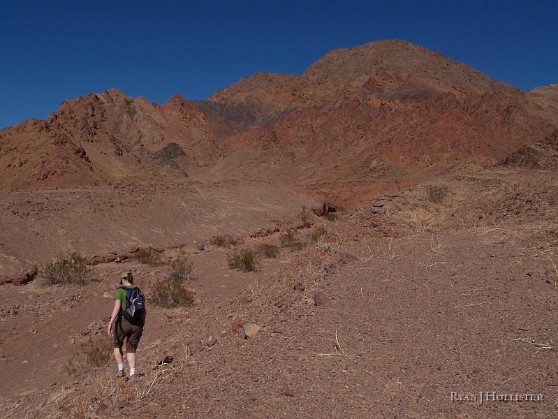 P2175429.JPG - This picture from 2007 shows the three major rock formations of the Pahrump Group (all tilted at a 45 degree angle or so) which are the oldest sedimentary rocks in California.  The desert pavement and wash my wife is walking on is part of the Crystal Srpings Formation which dates to 1.2 BY.  And guess what, you can find stromatolite fossils in these rocks that were once tidal flats.  If you follow the Crystal Springs rocks up to the dark band in the middle of the picture you'll have arrived at Beck Springs formation which has fossils of the first eukaryotic cells.  The layer of rock above the the dark Beck Springs fmt is called the Kingston Peak formation which dates to 700my or so.  It contains the most interesting rocks I've ever touched.  GO to the next pictures to see why.