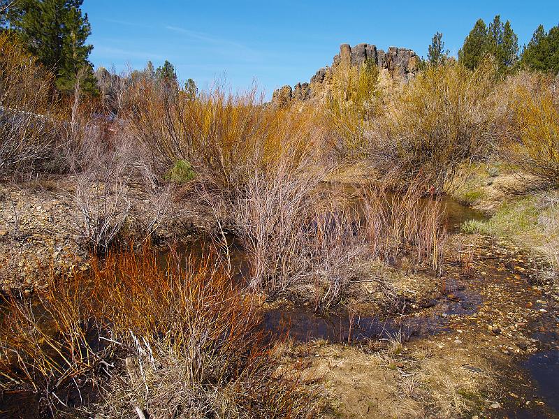_4261798.JPG - Here's another look at a different portion of the creek.  If you know geology, you might be able to figure out where this is.