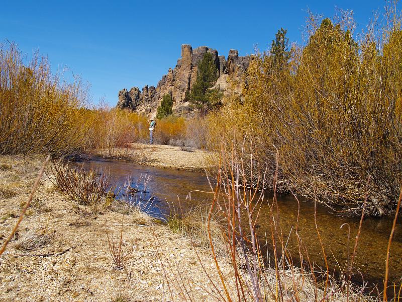 _4261802.JPG - Larry caught over 10 fish this day (released all but 5).  He knew how to work the willows well.