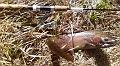 Photo0133