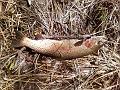 Photo0137