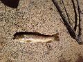 Photo0143