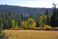 There was a hint of fall color left at Bell Meadow along the creek channel.  Otherwise, leaves had already fallen.