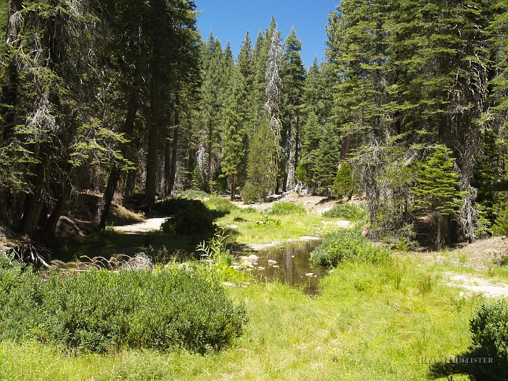 _8104752.JPG - This was my first peek at Trout Creek, a few miles east of Long Barn on Forest Road 31.